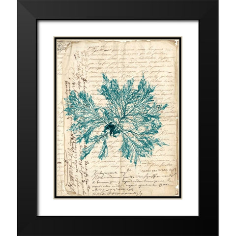 Vintage Teal Seaweed VI Black Modern Wood Framed Art Print with Double Matting by Vision Studio