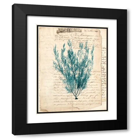 Vintage Teal Seaweed VII Black Modern Wood Framed Art Print with Double Matting by Vision Studio