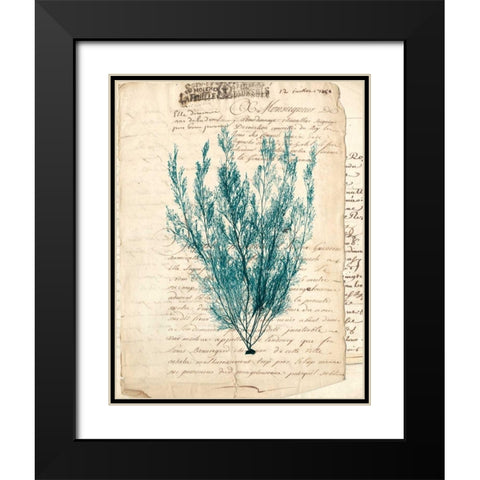 Vintage Teal Seaweed VII Black Modern Wood Framed Art Print with Double Matting by Vision Studio