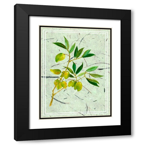 Olives on Textured Paper II Black Modern Wood Framed Art Print with Double Matting by Wang, Melissa