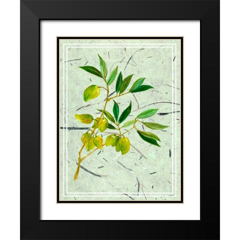 Olives on Textured Paper II Black Modern Wood Framed Art Print with Double Matting by Wang, Melissa