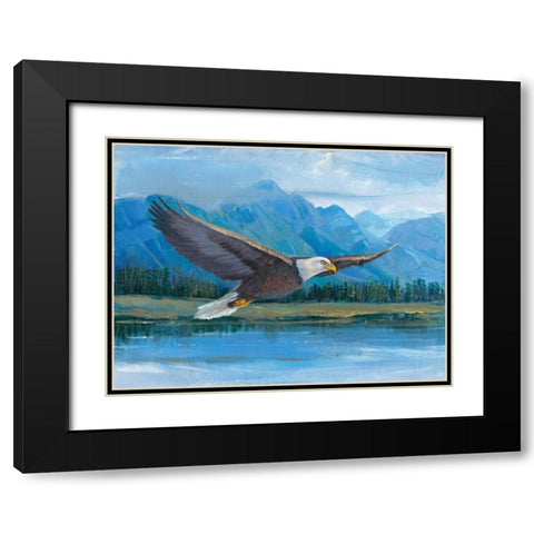 Eagle Soaring Black Modern Wood Framed Art Print with Double Matting by OToole, Tim