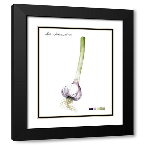 Root Vegetable I Black Modern Wood Framed Art Print with Double Matting by Popp, Grace