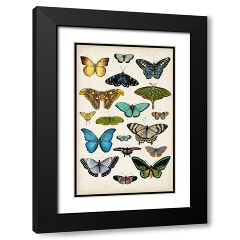 Butterfly Taxonomy I Black Modern Wood Framed Art Print with Double Matting by McCavitt, Naomi