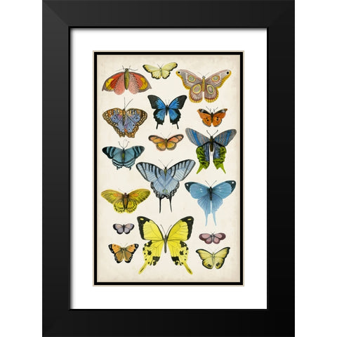 Butterfly Taxonomy II Black Modern Wood Framed Art Print with Double Matting by McCavitt, Naomi
