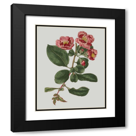 Floral Gems I Black Modern Wood Framed Art Print with Double Matting by Vision Studio