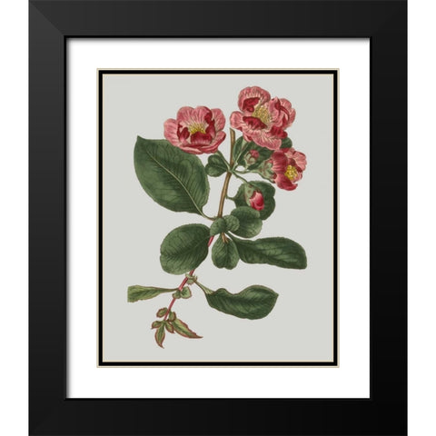 Floral Gems I Black Modern Wood Framed Art Print with Double Matting by Vision Studio