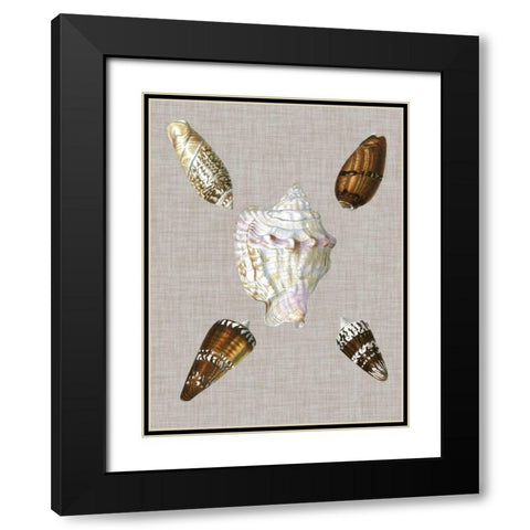 Shells on Linen II Black Modern Wood Framed Art Print with Double Matting by Vision Studio