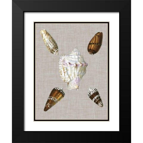 Shells on Linen II Black Modern Wood Framed Art Print with Double Matting by Vision Studio