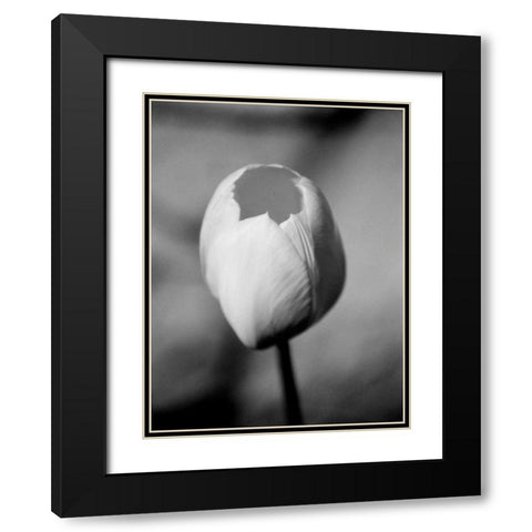 Floral Portrait I Black Modern Wood Framed Art Print with Double Matting by Pica, Jeff