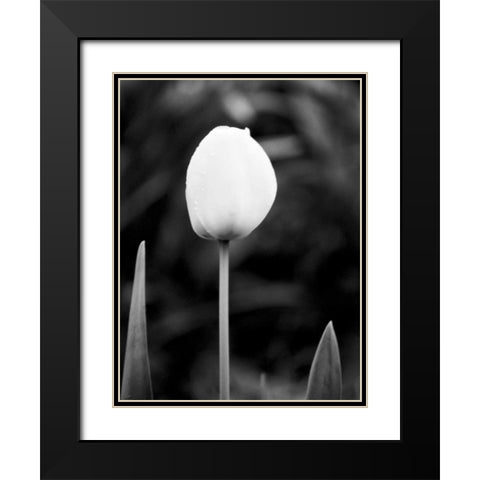 Floral Portrait III Black Modern Wood Framed Art Print with Double Matting by Pica, Jeff