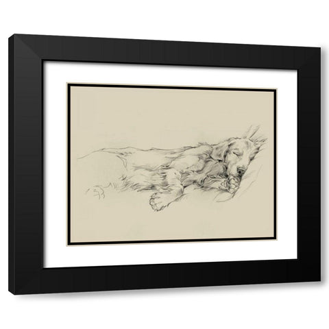 Dog Days III Black Modern Wood Framed Art Print with Double Matting by Harper, Ethan