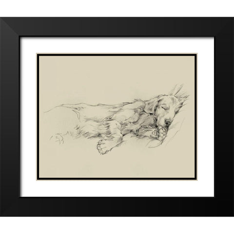 Dog Days III Black Modern Wood Framed Art Print with Double Matting by Harper, Ethan