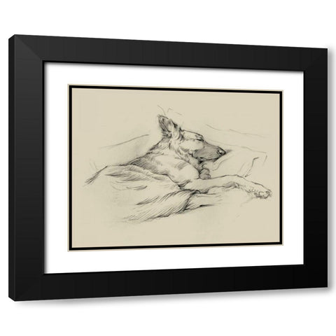 Dog Days IV Black Modern Wood Framed Art Print with Double Matting by Harper, Ethan