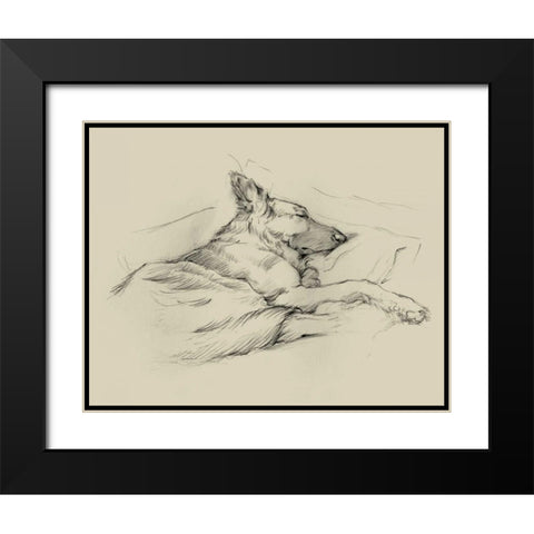 Dog Days IV Black Modern Wood Framed Art Print with Double Matting by Harper, Ethan