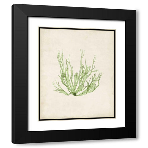 Peridot Seaweed IV Black Modern Wood Framed Art Print with Double Matting by Vision Studio