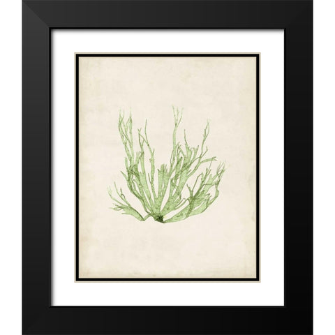 Peridot Seaweed IV Black Modern Wood Framed Art Print with Double Matting by Vision Studio