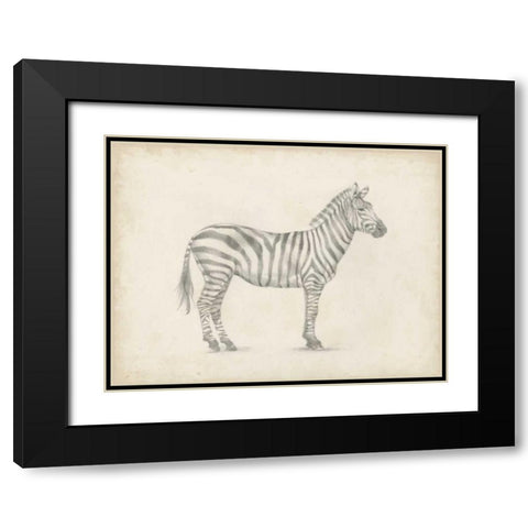 Zebra Sketch Black Modern Wood Framed Art Print with Double Matting by Harper, Ethan