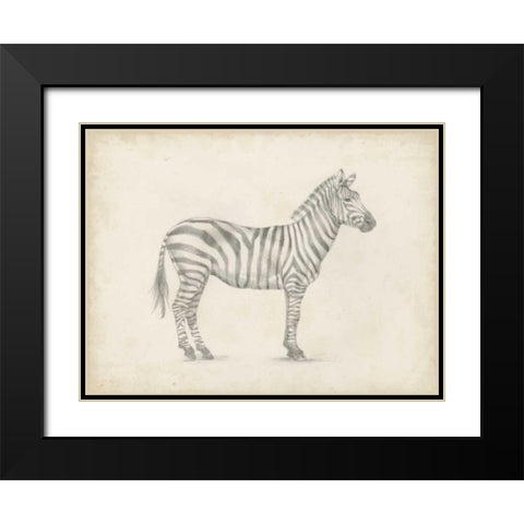 Zebra Sketch Black Modern Wood Framed Art Print with Double Matting by Harper, Ethan
