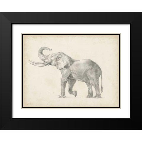 Elephant Sketch I Black Modern Wood Framed Art Print with Double Matting by Harper, Ethan