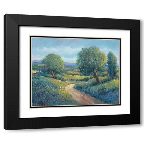 Country Sentrees II Black Modern Wood Framed Art Print with Double Matting by OToole, Tim