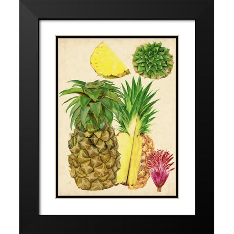 Tropical Pineapple Study I Black Modern Wood Framed Art Print with Double Matting by Wang, Melissa