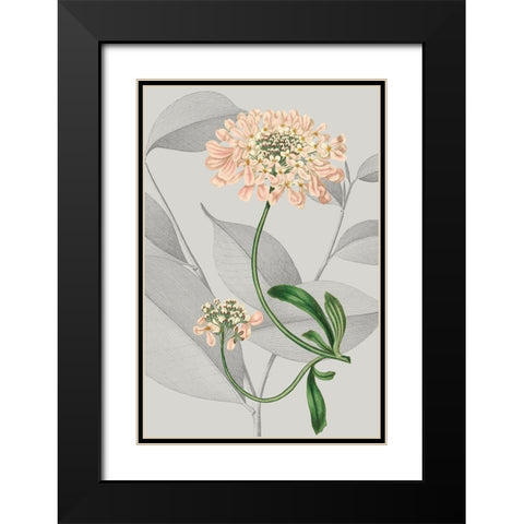 Botanical Arrangement I Black Modern Wood Framed Art Print with Double Matting by Vision Studio