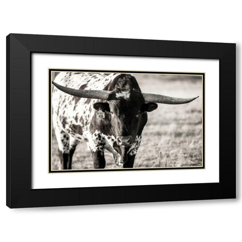 Longhorn Portrait Black Modern Wood Framed Art Print with Double Matting by Stockton, Tyler
