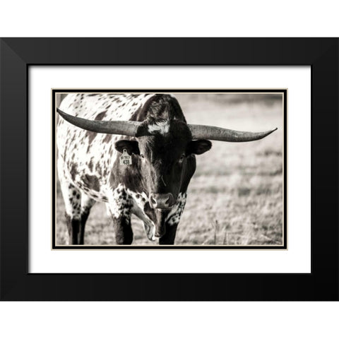 Longhorn Portrait Black Modern Wood Framed Art Print with Double Matting by Stockton, Tyler
