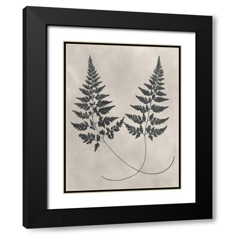 Vintage Fern Study I Black Modern Wood Framed Art Print with Double Matting by Vision Studio