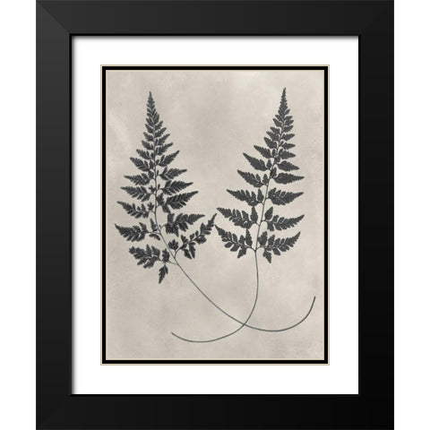 Vintage Fern Study I Black Modern Wood Framed Art Print with Double Matting by Vision Studio