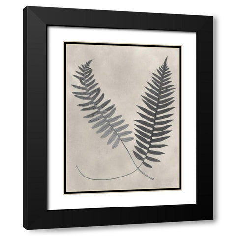 Vintage Fern Study III Black Modern Wood Framed Art Print with Double Matting by Vision Studio