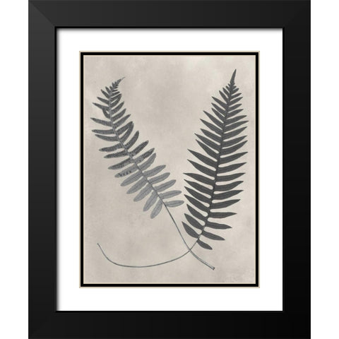 Vintage Fern Study III Black Modern Wood Framed Art Print with Double Matting by Vision Studio