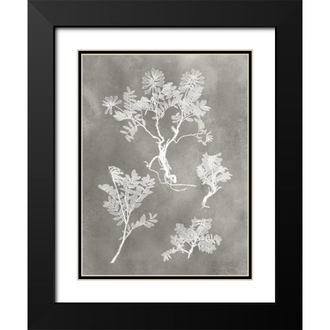 Herbarium Study II Black Modern Wood Framed Art Print with Double Matting by Vision Studio