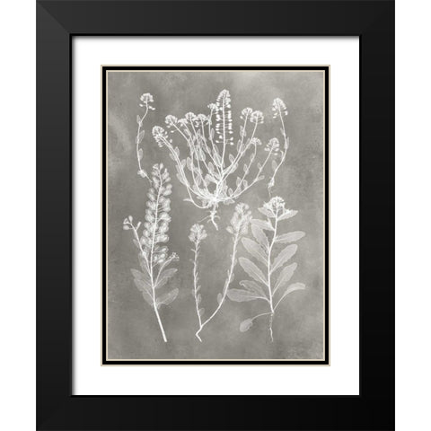 Herbarium Study III Black Modern Wood Framed Art Print with Double Matting by Vision Studio