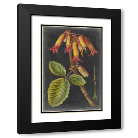 Dramatic Tropicals III Black Modern Wood Framed Art Print with Double Matting by Vision Studio
