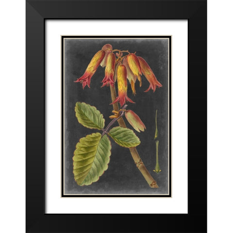 Dramatic Tropicals III Black Modern Wood Framed Art Print with Double Matting by Vision Studio