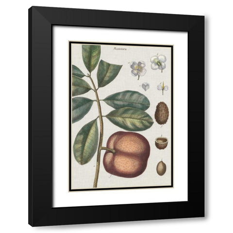 Exotic Botanique IV Black Modern Wood Framed Art Print with Double Matting by Vision Studio