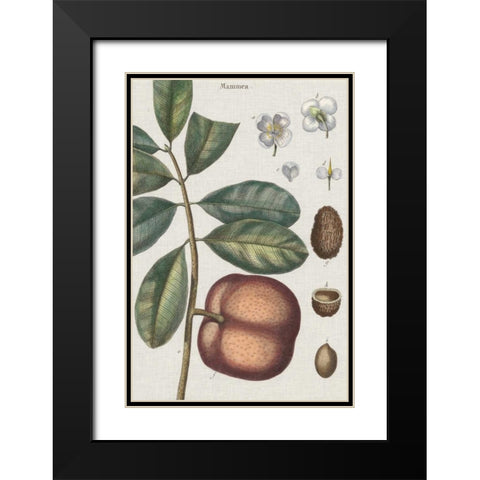 Exotic Botanique IV Black Modern Wood Framed Art Print with Double Matting by Vision Studio