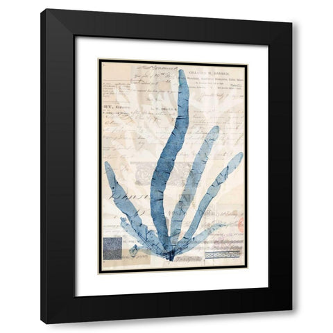 Seaweed Arrangement II Black Modern Wood Framed Art Print with Double Matting by Vision Studio