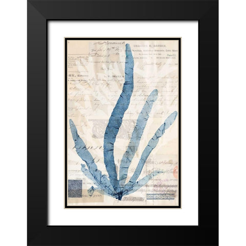Seaweed Arrangement II Black Modern Wood Framed Art Print with Double Matting by Vision Studio