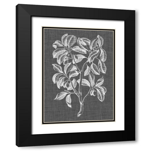 Graphic Foliage I Black Modern Wood Framed Art Print with Double Matting by Vision Studio