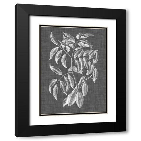 Graphic Foliage III Black Modern Wood Framed Art Print with Double Matting by Vision Studio