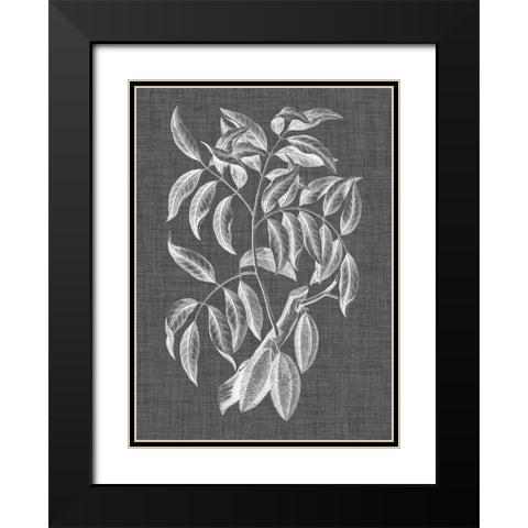 Graphic Foliage III Black Modern Wood Framed Art Print with Double Matting by Vision Studio