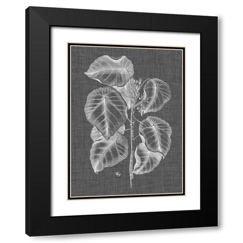 Graphic Foliage IV Black Modern Wood Framed Art Print with Double Matting by Vision Studio
