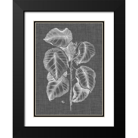 Graphic Foliage IV Black Modern Wood Framed Art Print with Double Matting by Vision Studio