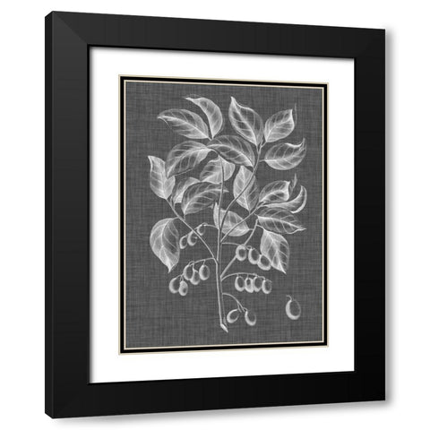 Graphic Foliage V Black Modern Wood Framed Art Print with Double Matting by Vision Studio