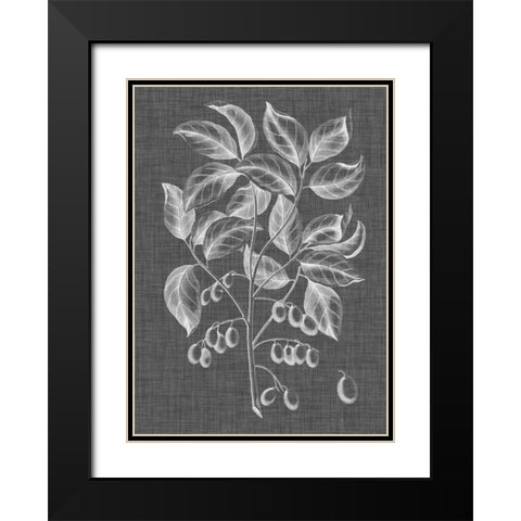 Graphic Foliage V Black Modern Wood Framed Art Print with Double Matting by Vision Studio
