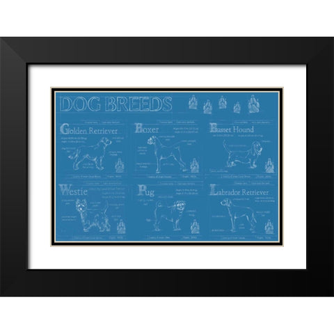 Dog Breeds Infograph Black Modern Wood Framed Art Print with Double Matting by Harper, Ethan
