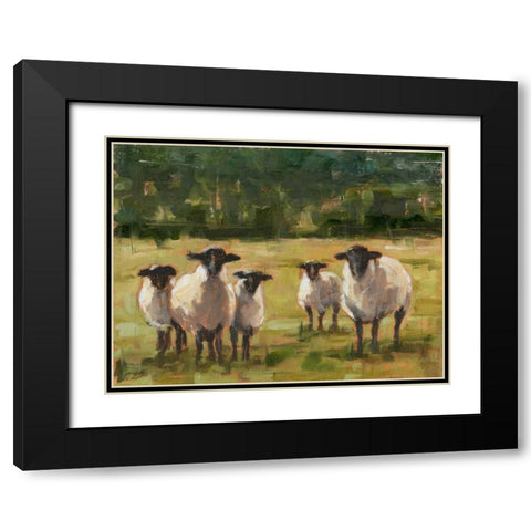Sheep Family I Black Modern Wood Framed Art Print with Double Matting by Harper, Ethan